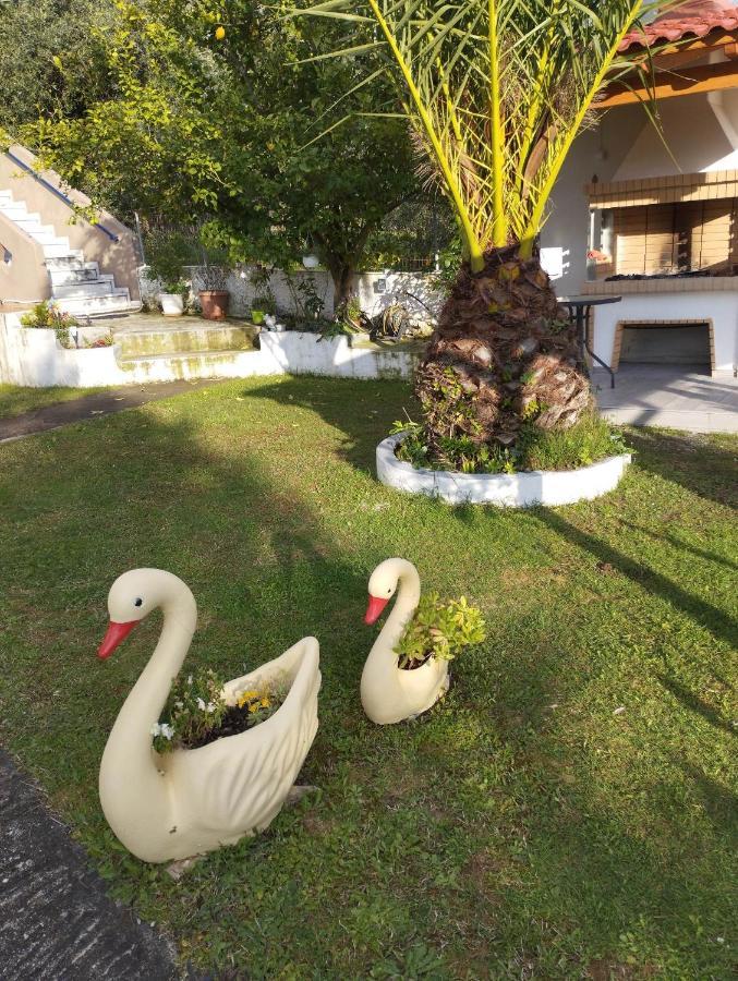 Mιχαλης Apartments Paramythia Exterior foto